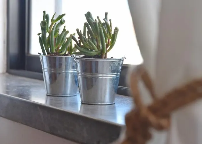 Surf House Peniche Baleal